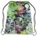 Backpack Variety of succulents - a plant composition with rich detailing 147572 additionalThumb 2