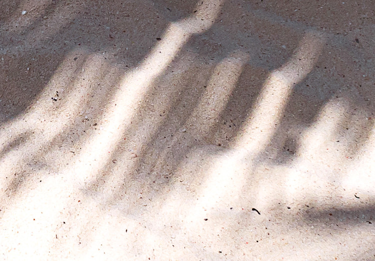 Canvas Shadows by the sea - Sand beach covered with shadow Crown of trees 135282 additionalImage 4