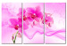 Canvas Ethereal orchid - pink 58482