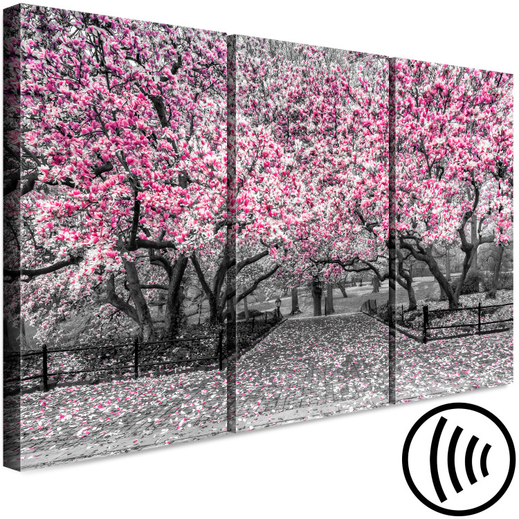 Canvas Blooming Magnolias - triptych with magnolia trees and pink flowers 128792 additionalImage 6