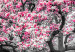 Canvas Blooming Magnolias - triptych with magnolia trees and pink flowers 128792 additionalThumb 4