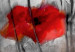 Canvas Nature in Art (5-part) - Painted Red Poppies on Gray Background 114503 additionalThumb 4