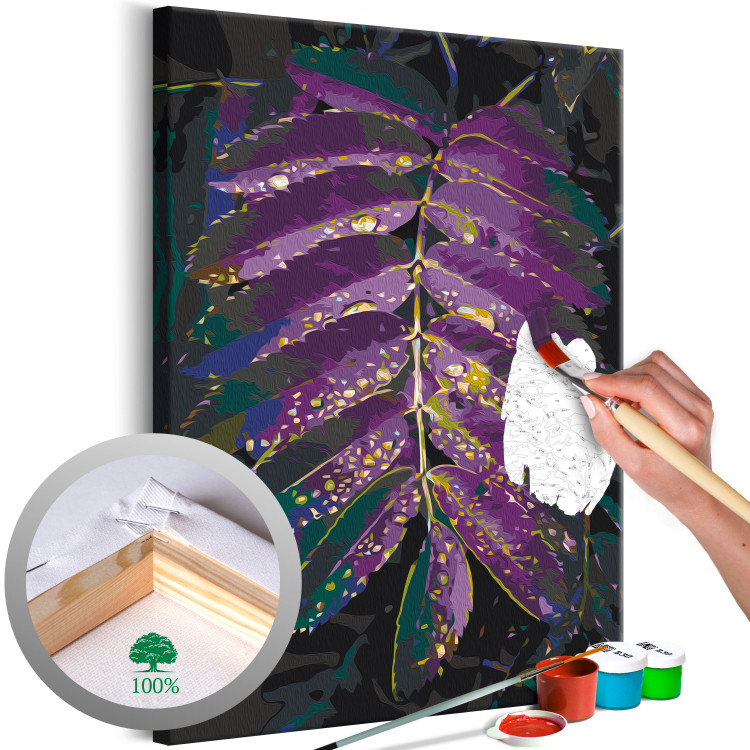 Paint by Number Kit Jungle Vegetation - Large Purple Leaf With Raindrops 146203
