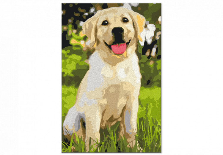 Paint by Number Kit Labrador 149103 additionalImage 6