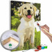 Paint by Number Kit Labrador 149103