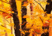 Canvas Autumn Alley 88703 additionalThumb 4