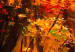 Canvas Autumn Alley 88703 additionalThumb 5