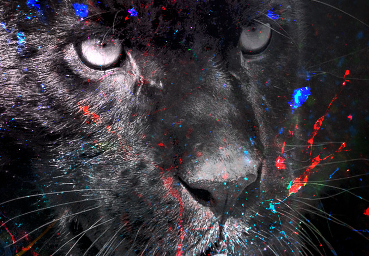 Poster Black Jaguar - animal among abstract colors on a dark background 131813 additionalImage 10