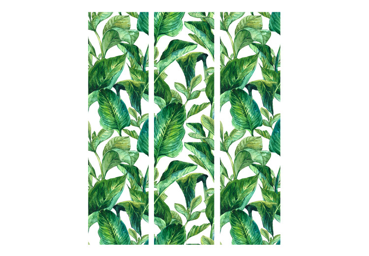 Room Divider Tropical Paradise (3-piece) - green exotic plants and white background 124323 additionalImage 3