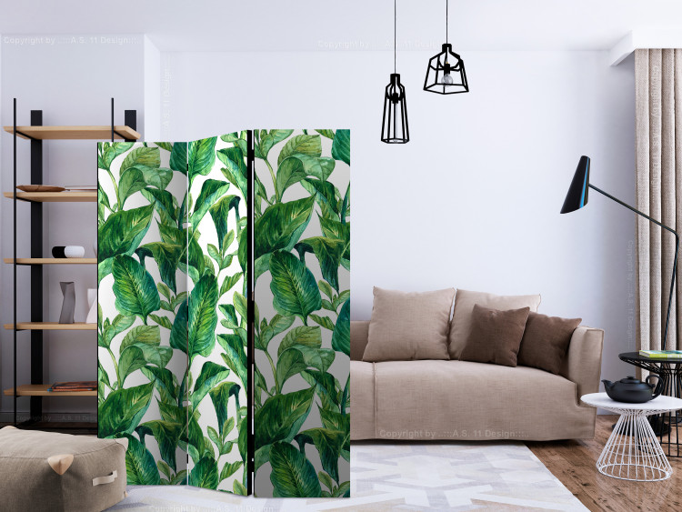 Room Divider Tropical Paradise (3-piece) - green exotic plants and white background 124323 additionalImage 4