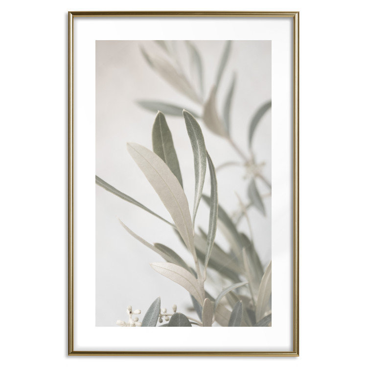 Poster Olive Tree Twig - Frame for a Fragment of Mediterranean Vegetation 145233 additionalImage 19