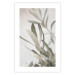 Poster Olive Tree Twig - Frame for a Fragment of Mediterranean Vegetation 145233 additionalThumb 16