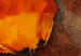 Canvas Subtle Poppies (3-piece) - Orange flowers on a brown background 48643 additionalThumb 3
