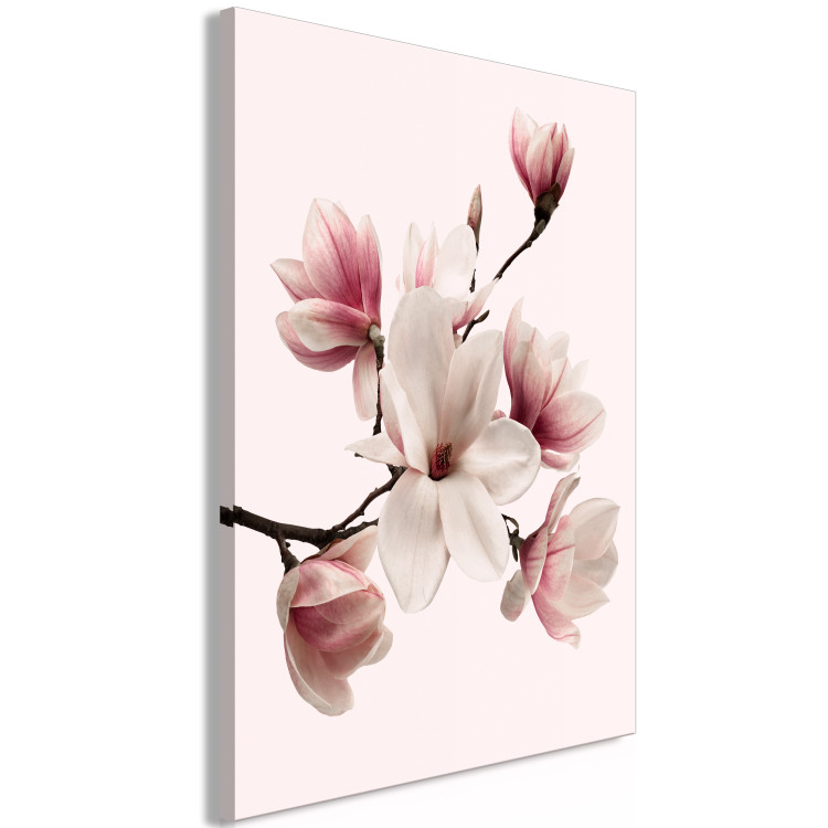 Canvas Spring Greeting (1-part) - Magnolia Flower in Delicate Hue 117153 additionalImage 2