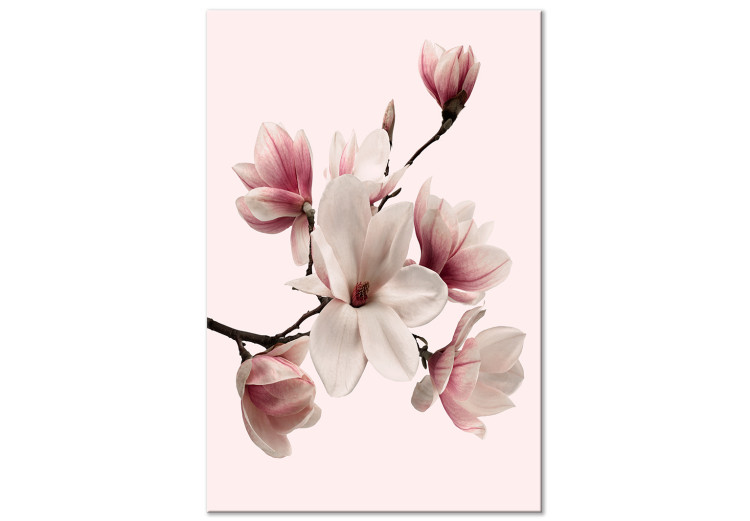 Canvas Spring Greeting (1-part) - Magnolia Flower in Delicate Hue 117153