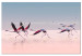 Canvas Birds Getting Ready to Fly (1-part) - Flamingos Against Water 117453