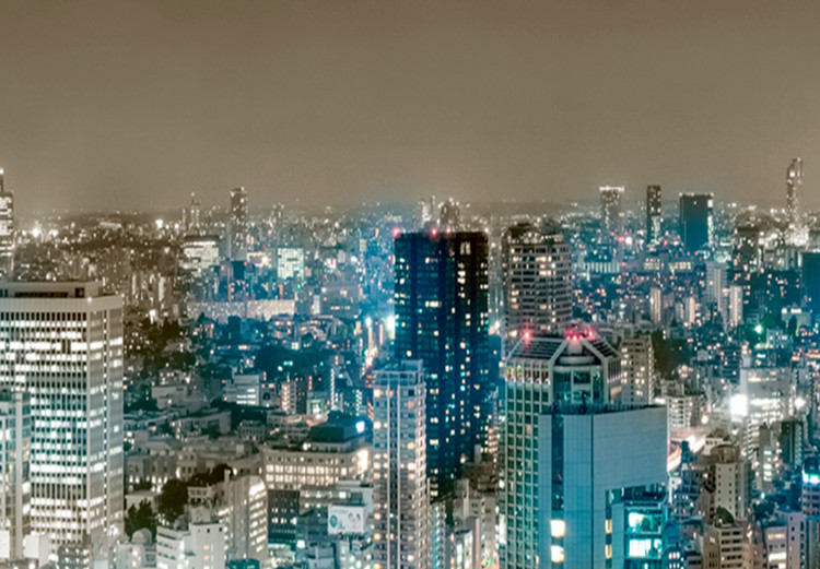 Large Canvas Tokyo Panorama II [Large Format] 137663 additionalImage 4