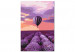 Paint by Number Kit Above the Lavender Field 138663 additionalThumb 6