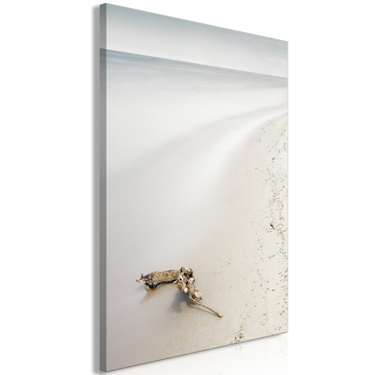 Canvas Scandinavian coast - calm sea and fine sand on the beach 117273 additionalImage 2