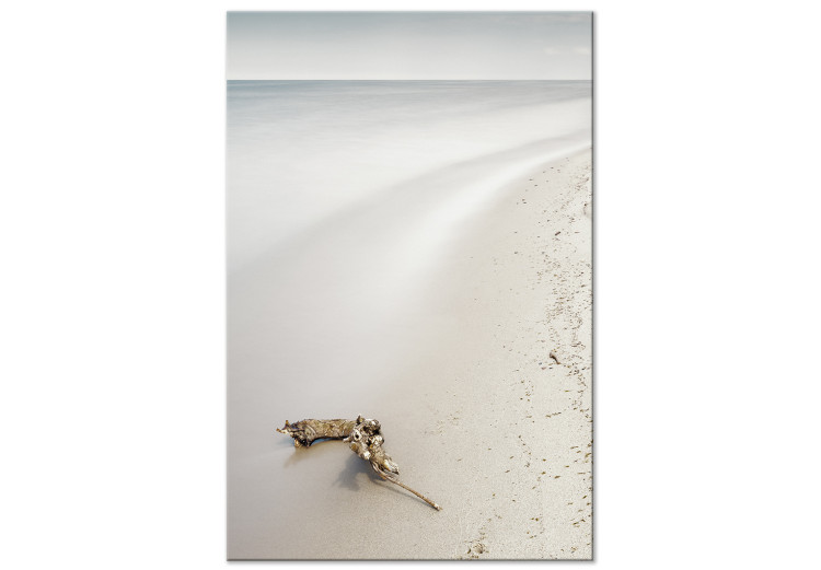 Canvas Scandinavian coast - calm sea and fine sand on the beach 117273