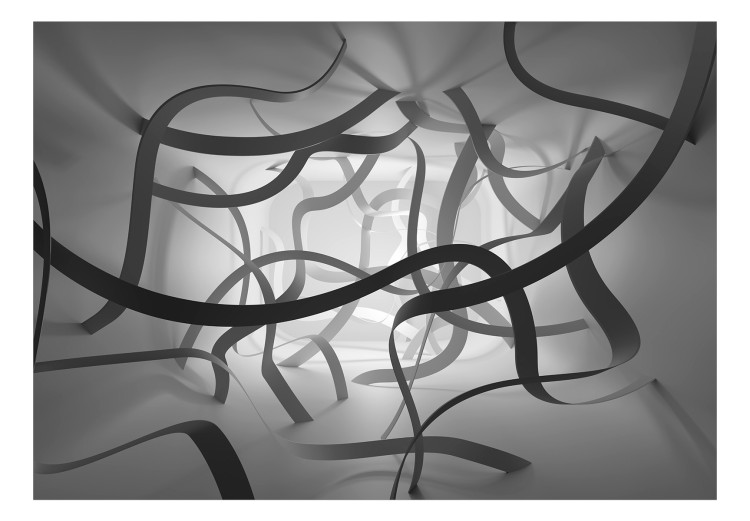 Wall Mural Tangled space - black and white abstract with fancy ribbons 129873 additionalImage 1
