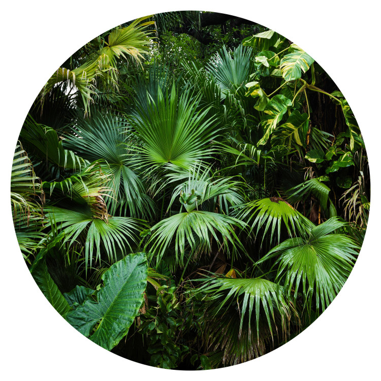 Round wallpaper Jungle - Exotic Forest Vegetation in Green Colors 149173 additionalImage 1