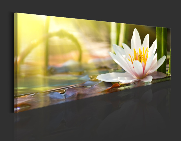 Acrylic Print Lotus' Glow [Glass] 93173 additionalImage 5