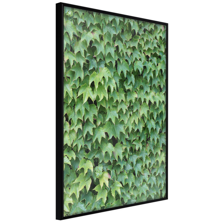 Gallery wall Green Love 124935 additionalImage 4