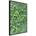Gallery wall Green Love 124935 additionalThumb 4