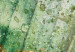 Canvas Rain drops on a leaf - Botanical theme in green color 135783 additionalThumb 5