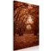 Canvas Corridor of trees - autumn forest path covered with leaves 123893 additionalThumb 2