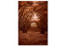 Canvas Corridor of trees - autumn forest path covered with leaves 123893