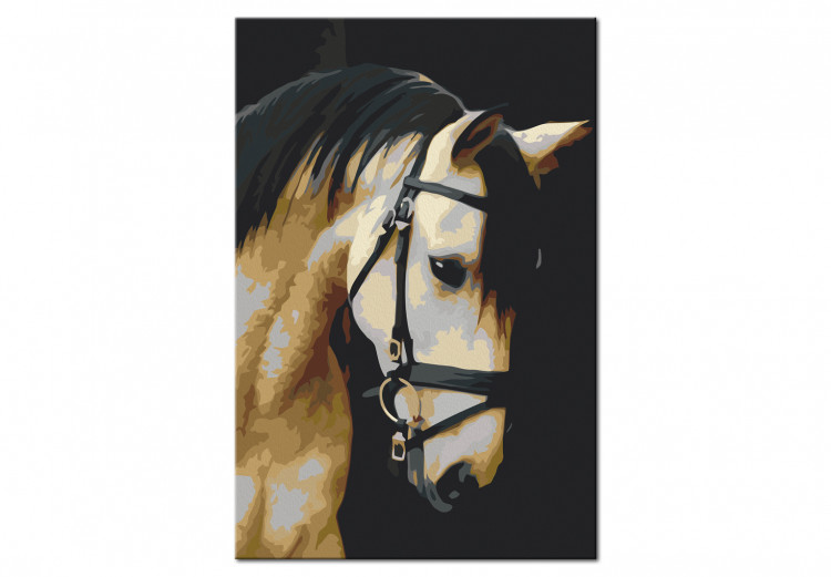 Paint by Number Kit Horse Portrait  132314 additionalImage 6