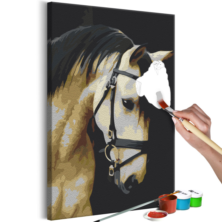 Paint by Number Kit Horse Portrait  132314 additionalImage 3