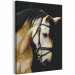 Paint by Number Kit Horse Portrait  132314 additionalThumb 5