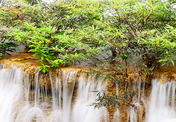 Canvas Waterfall Surrounded by Greenery 61914 additionalImage 5