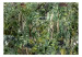 Wall Mural Rich jungle - exotic green wilderness landscape with trees 135224 additionalThumb 1