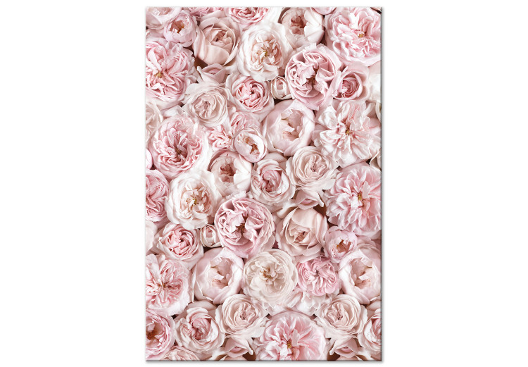Canvas Rose Carpet - Carpet with pink flowers seen from above in pink color 135534