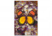 Paint by Number Kit Amber Dream - Butterfly with Yellow and Orange Wings 146544 additionalThumb 4