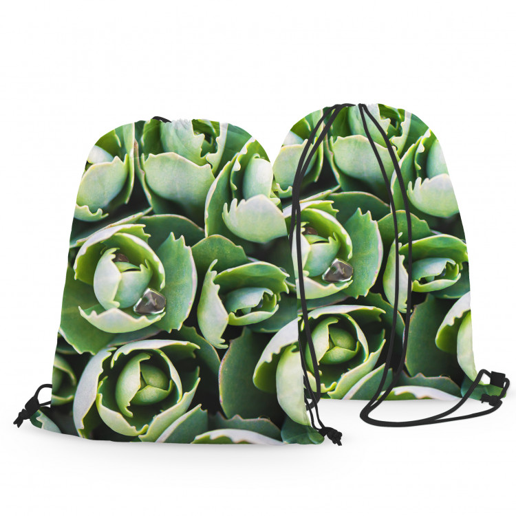 Backpack Shy succulents - a floral composition with rich detailing 147344 additionalImage 3