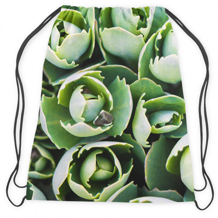 Backpack Shy succulents - a floral composition with rich detailing 147344 additionalImage 2