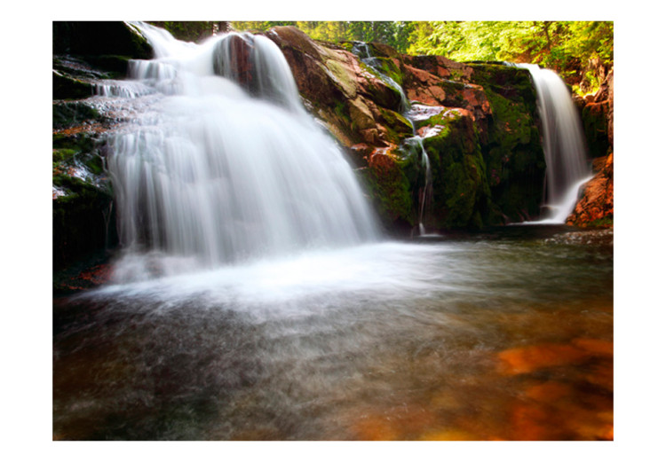 Wall Mural Peace of Nature - Waterfalls on Brown Rocks Flowing into the River 60044 additionalImage 1