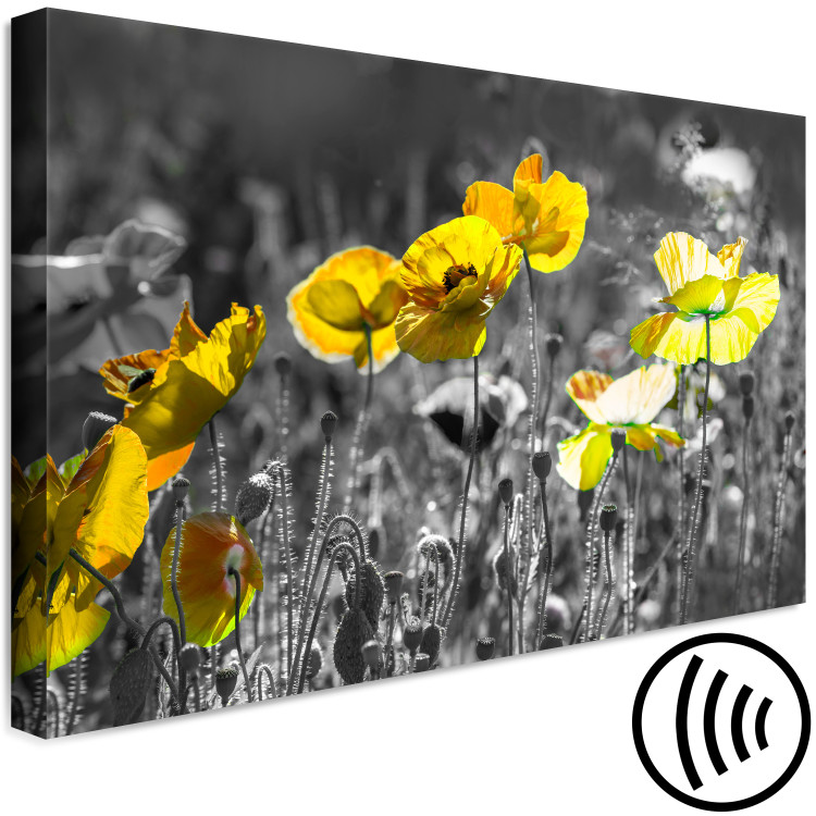Canvas Nature's Contrast (1-part) - Spring Meadow of Blooming Poppies 123054 additionalImage 6