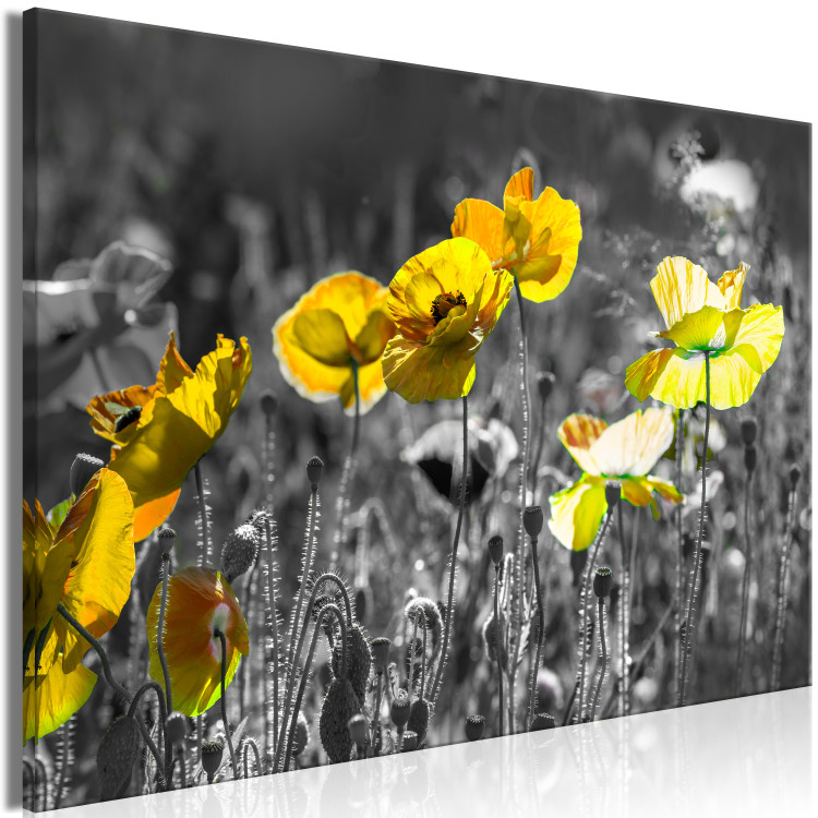 Canvas Nature's Contrast (1-part) - Spring Meadow of Blooming Poppies 123054 additionalImage 2