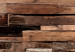 Wall Mural Cedar Smell (Brown) 125064 additionalThumb 4