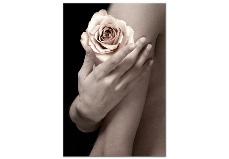 Canvas Tea rose on a hand - photo of a woman holding a flower in her hand 128064