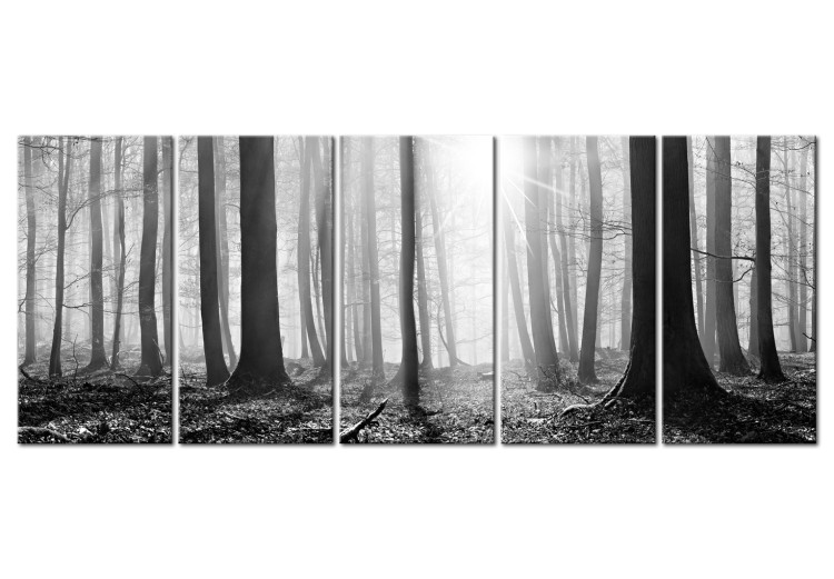 Canvas Monochrome Forest 98564