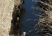 Canvas Ditch (1 Part) Vertical 117274 additionalThumb 4