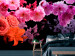 Wall Mural Nature cocktail - colourful flowers on a solid black background 118374
