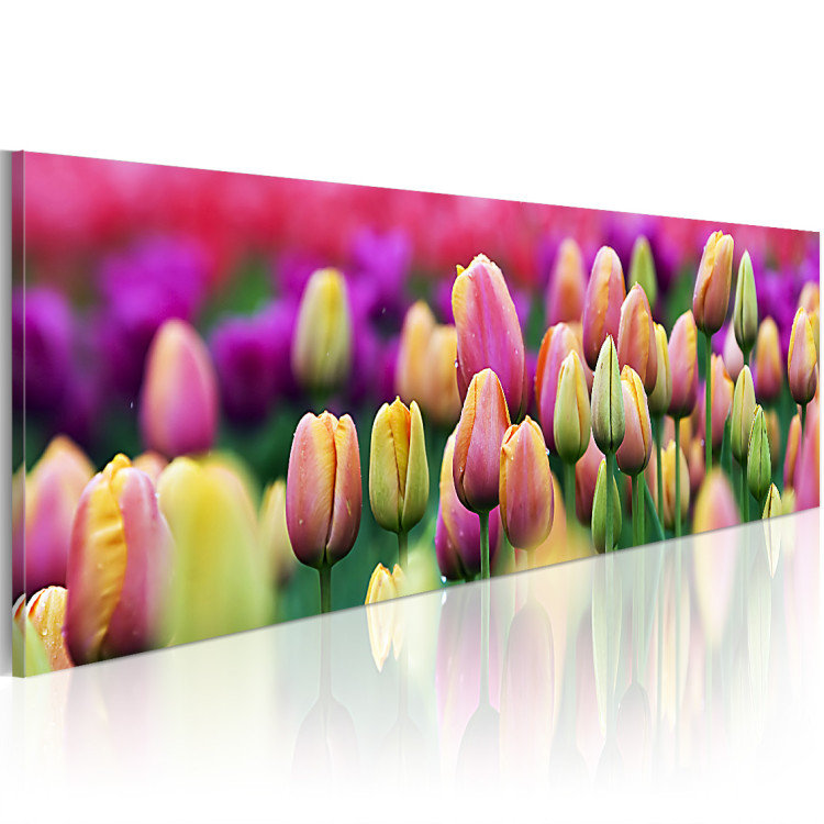 Canvas Rainbow-hued tulips 58484 additionalImage 2